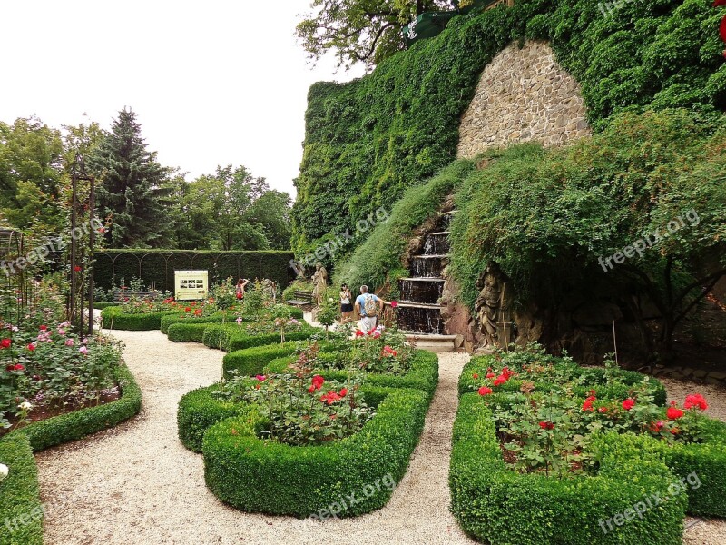 Garden Green Nature Vegetation Plants