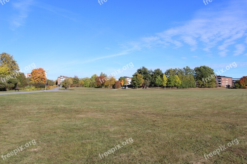 Grass Field Green Field Open Field Free Photos