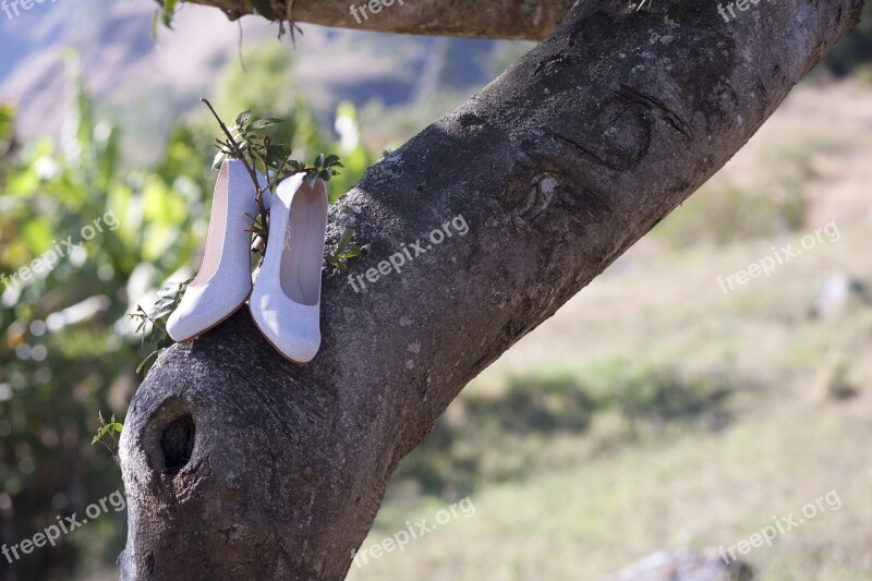 Shoes Whites Marriage Wedding Free Photos