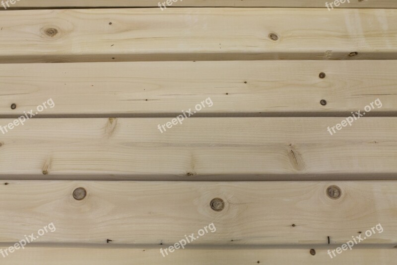 Wood Texture Plank Timber Hardwood