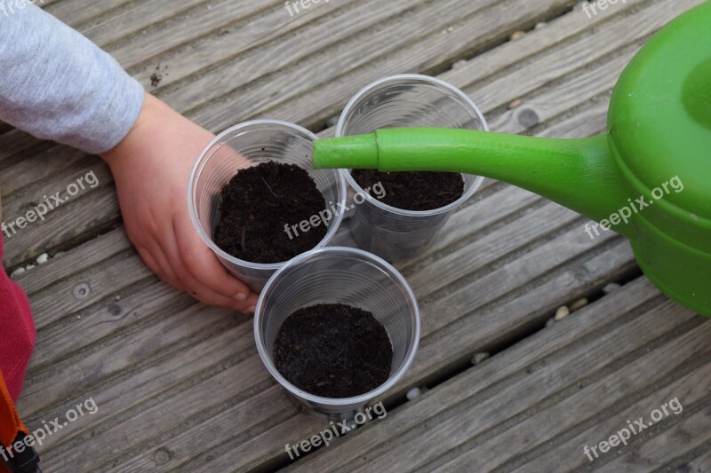 Casting Plant Cup Watering Can Free Photos