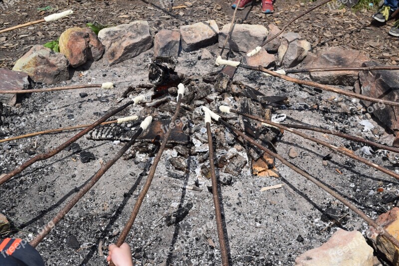 Campfire Fire Floor Sticks Stick Bread