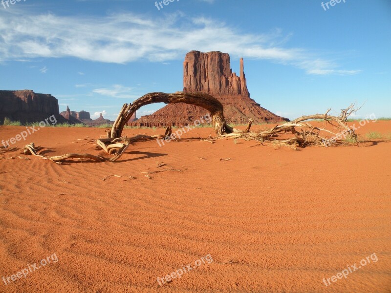 Monument Valley Desert Trunk Free Photos