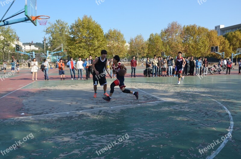 University Student Basketball Schoolboy Free Photos