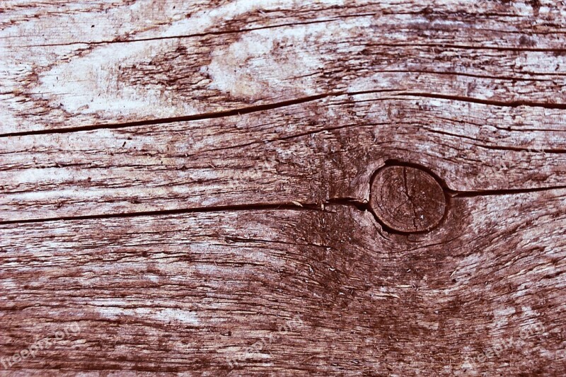 Wood Nature Texture Knothole Grain