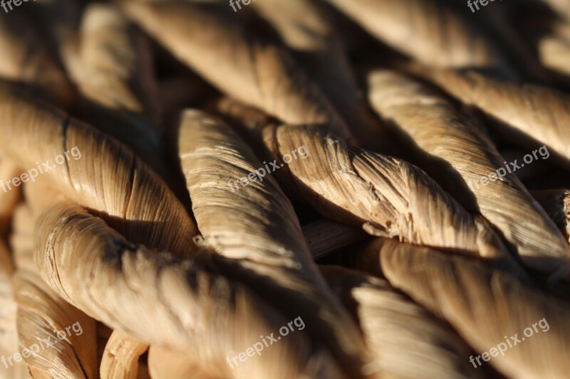 Ropes Intertwined Knotted Background Texture