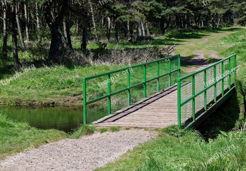 Bridge River Trees Wood Nature