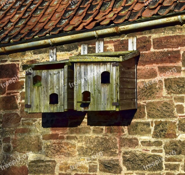 Birds Bird Box Birdhouse Box Nest