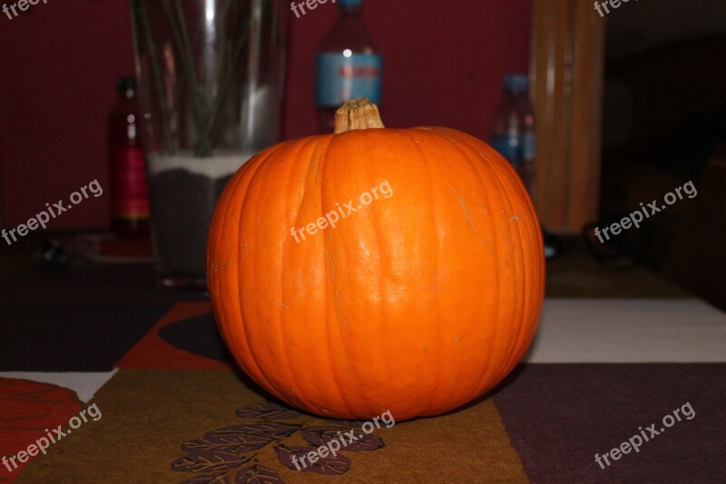 Halloween Pumpkin Witch Free Photos