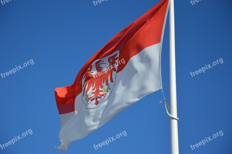 Flag Brandenburg Red Eagle Free Photos