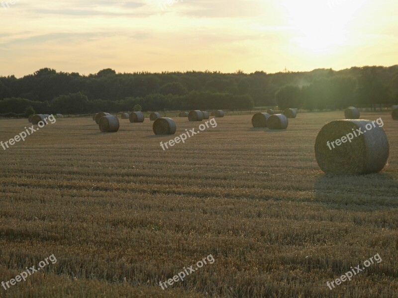 Straw Straw Bales Field Free Photos