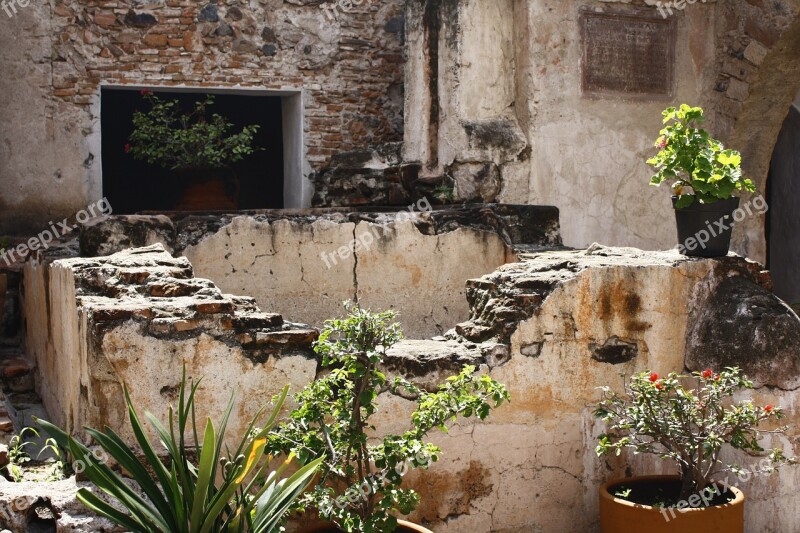 Mexico Patio Convent Plants Free Photos