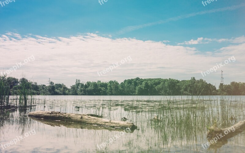 Lake River Marsh Water Sky