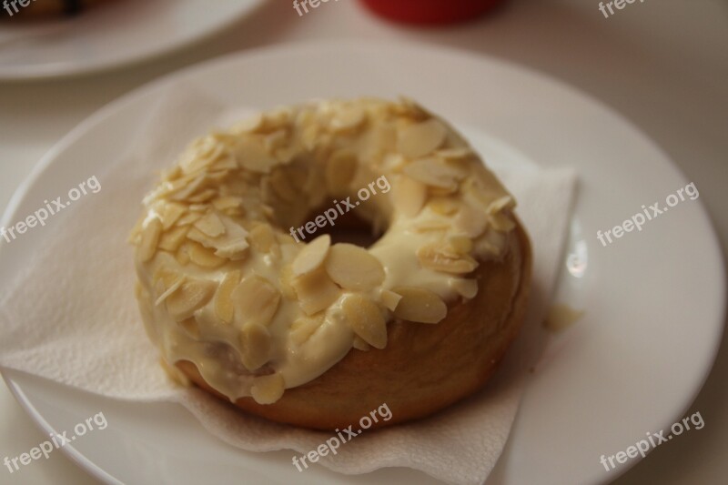 Donuts Doughnut Dessert Snack Sugar