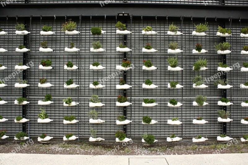 Bottles Plants Planting Nature Wall