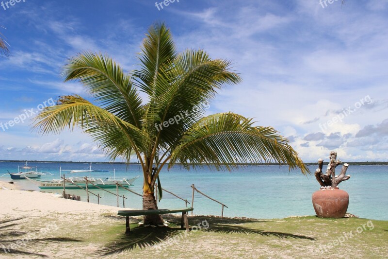 Tropics Palm Tree Tropical Palm Beach