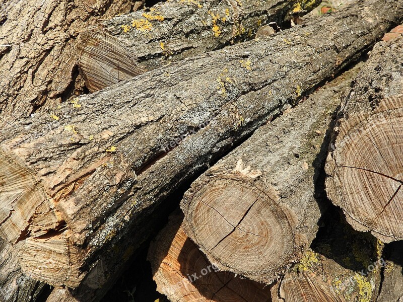 Log Tribe Pile Of Wood Wood Free Photos