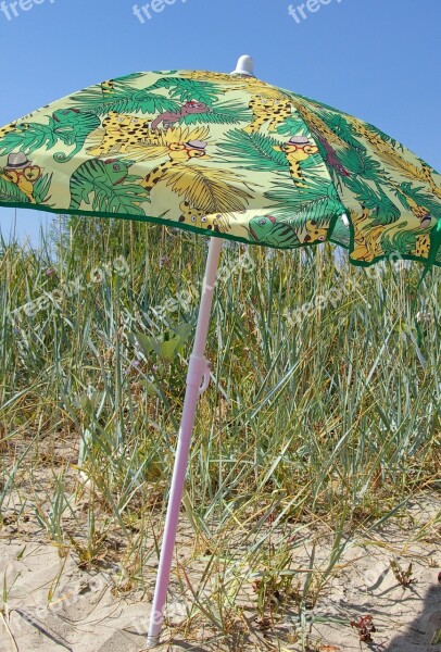 Beach Summer Sun Sun Protection Parasol