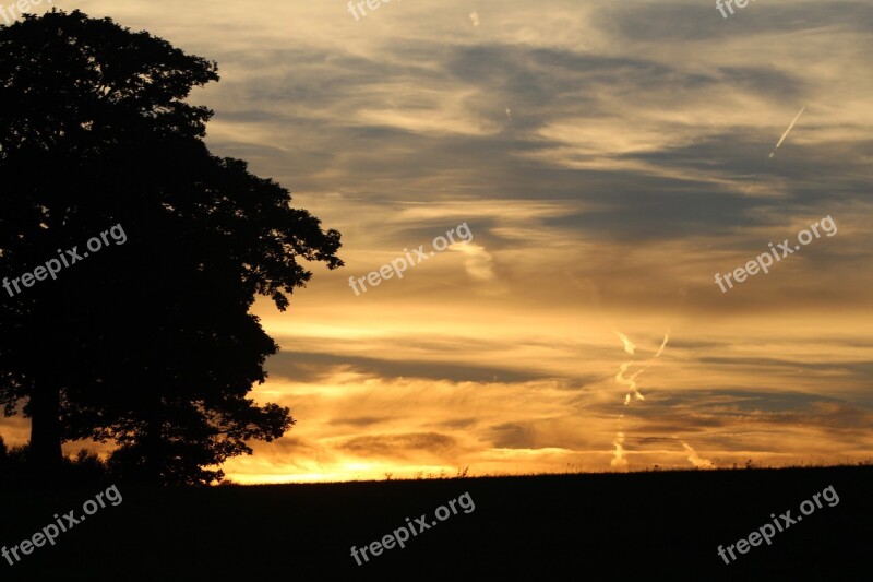 Sunset Colors Colorful Tree Luxembourg