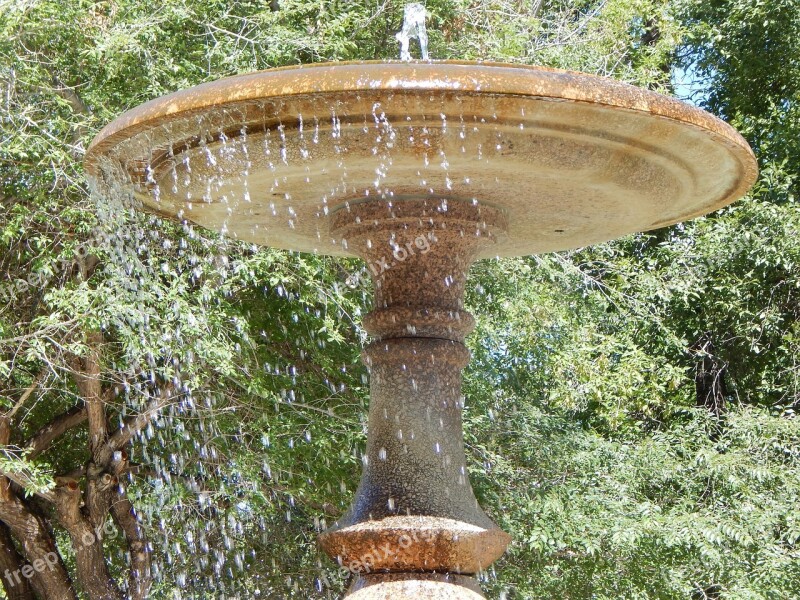 Water Fountain Fountain Water Nature Trees