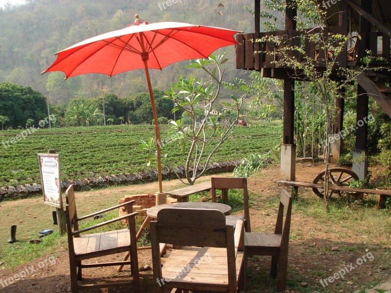 Umbrella Cafe Table Chairs Free Photos