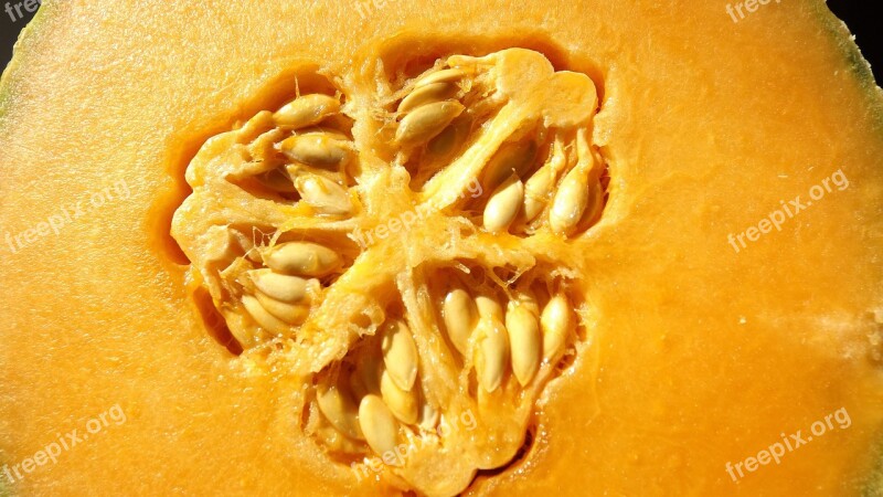 Seed Cantaloupe Fruit Power Free Photos