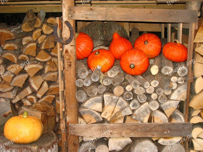 Horseshoe Wood Pile Pumpkin Free Photos