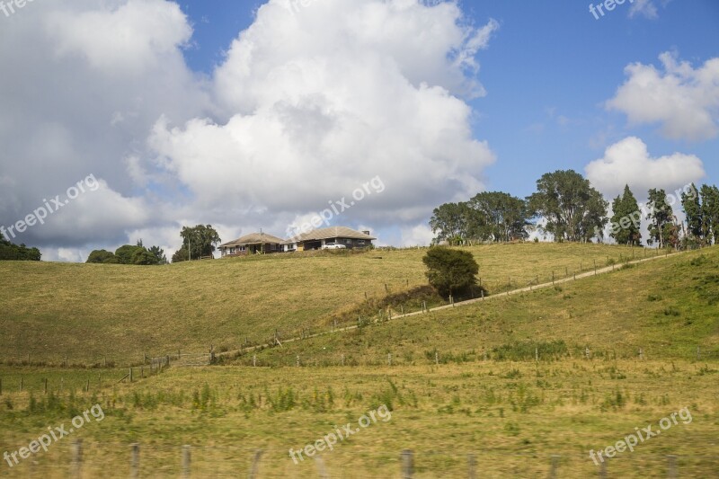 New Zealand Farm Grassland Tree White Cloud