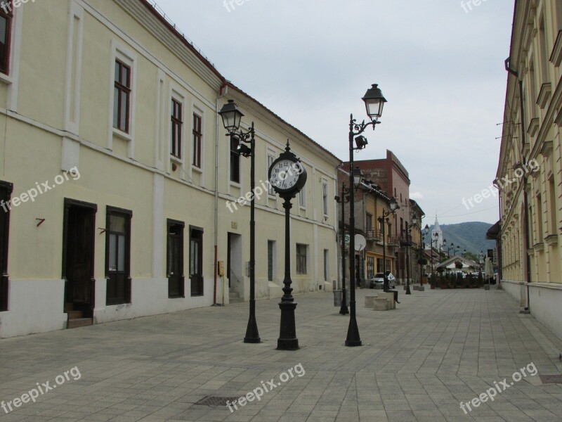 Baia Mare Center Transylvania Free Photos