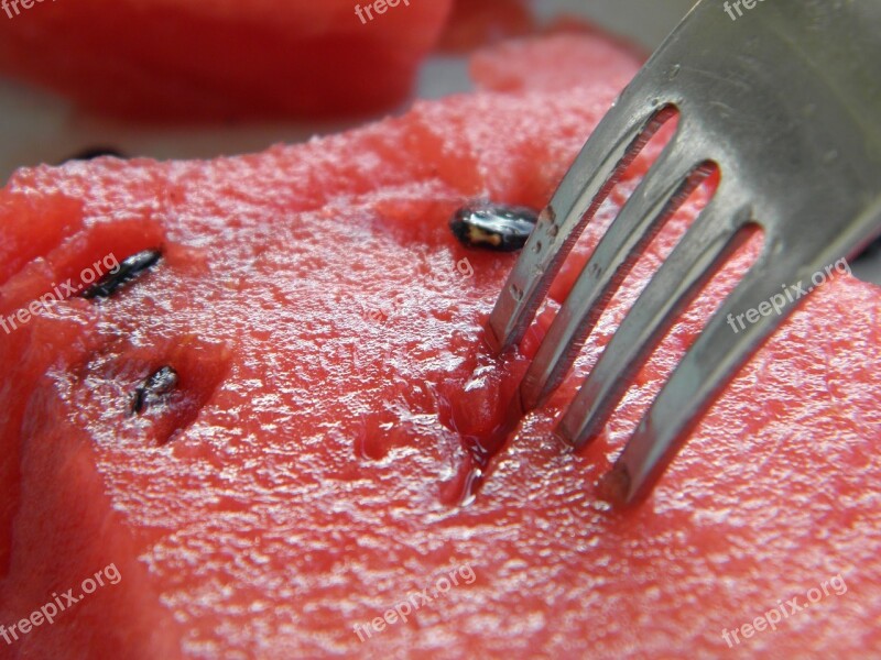 Summer Watermelon Fork Free Photos