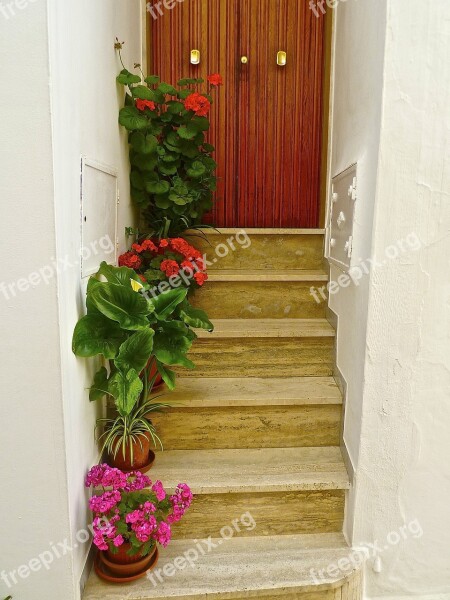 Steps Flowers Entry Welcome Staircase