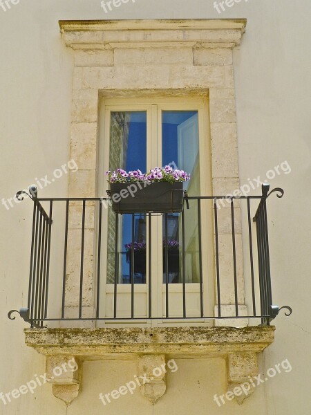 Balcony Flowers Decoration Flowerpot Floral