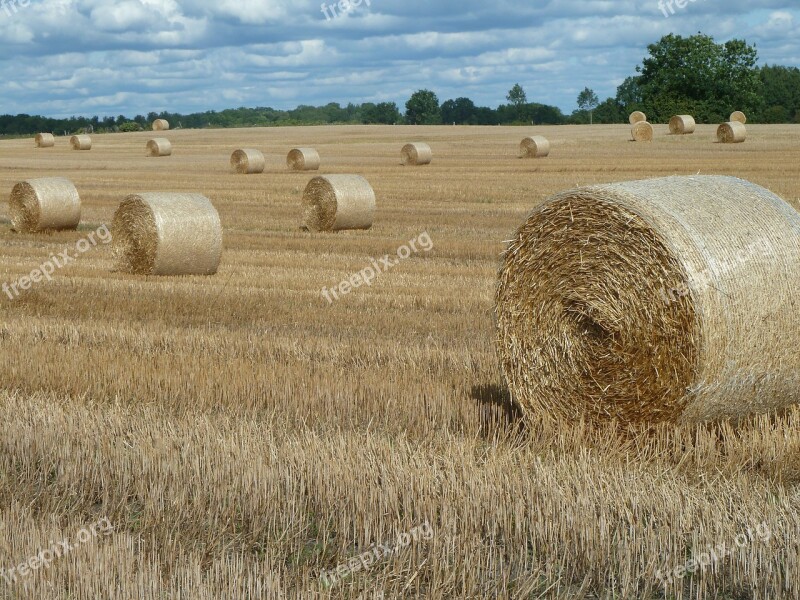 Skåne Straw Straw Bales Landscapes Summer