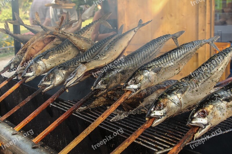 Fish Trout Smoked Trout Eat Smoked Fish