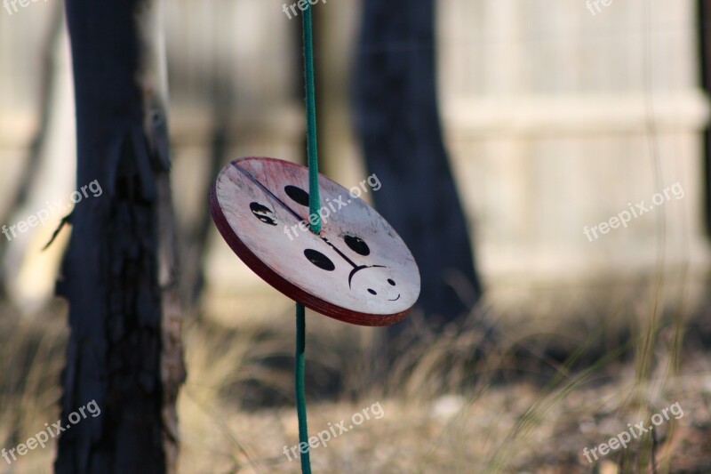 Swing Playing Yard Equipment Game Ladybird