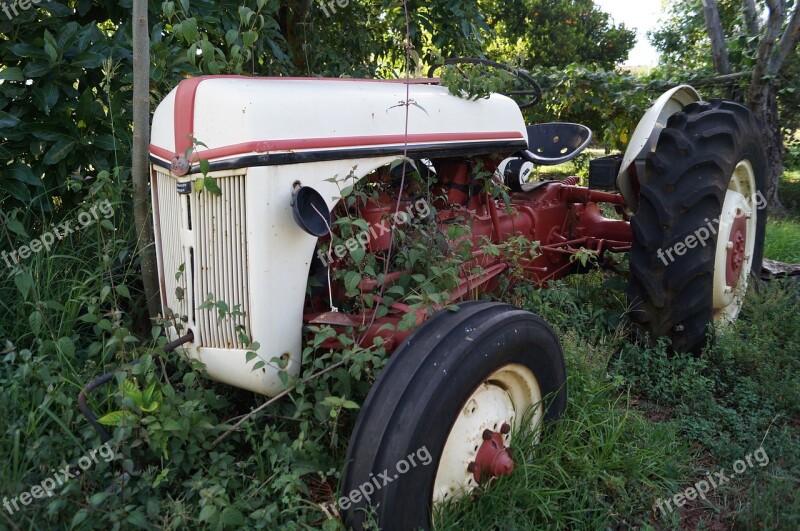 Truck Tractor Nature Invade Old