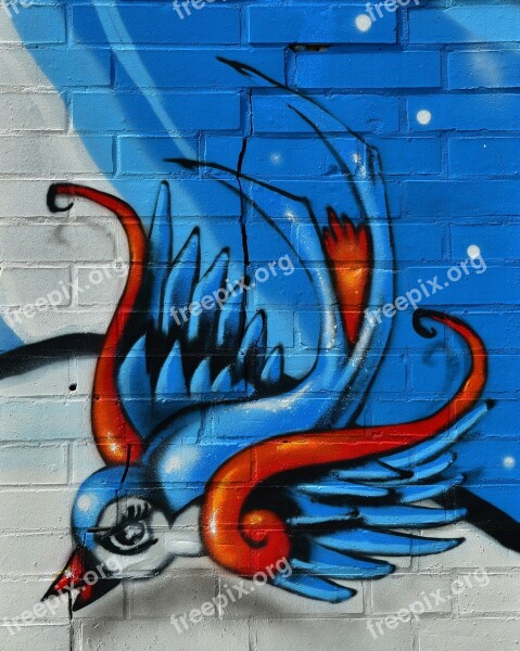 Bird Graffiti Hauswand Wall Painting Colorful