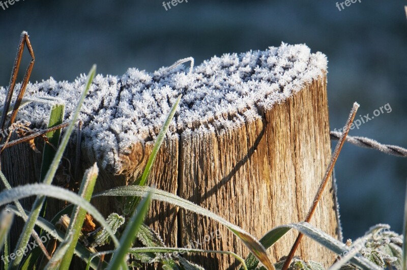 Tree Winter Hoarfrost Nature Free Photos