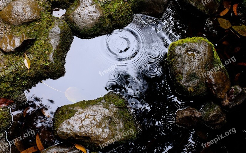 Water Puddle Rocks Wet Rain