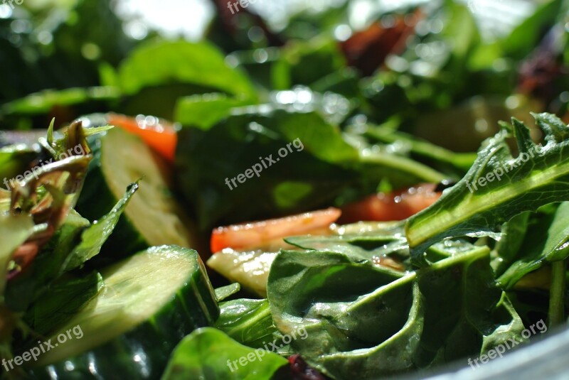 Salad Vegetables Healthy Food Diet