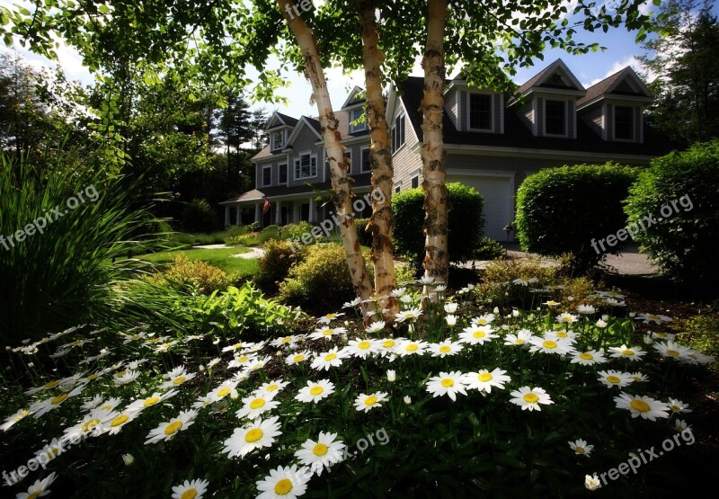 House Property Landscaping Real Estate Residence