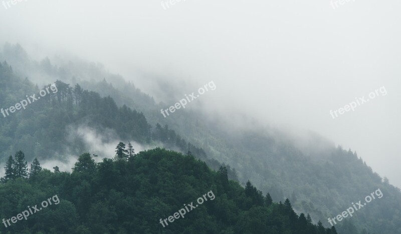 Mountain Forest Trees Nature Landscape