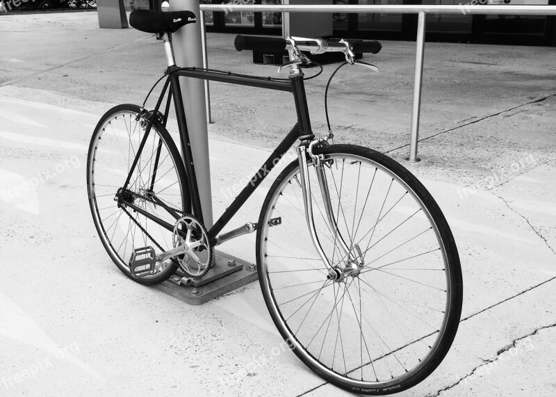 Single Speed Bike Cycling Free Photos