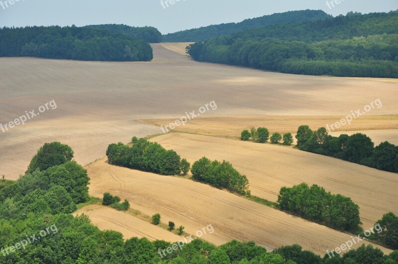 Field View Landscape Corn Tree