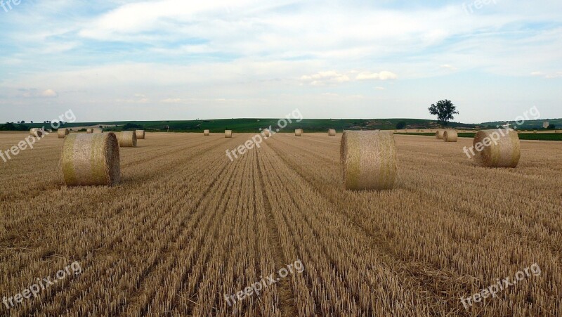 Stubble Straw Rolls Straw Bales At Nierstein Round Bales