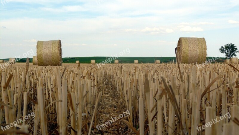 Straw Bales Straw Role Round Bales Straw Field