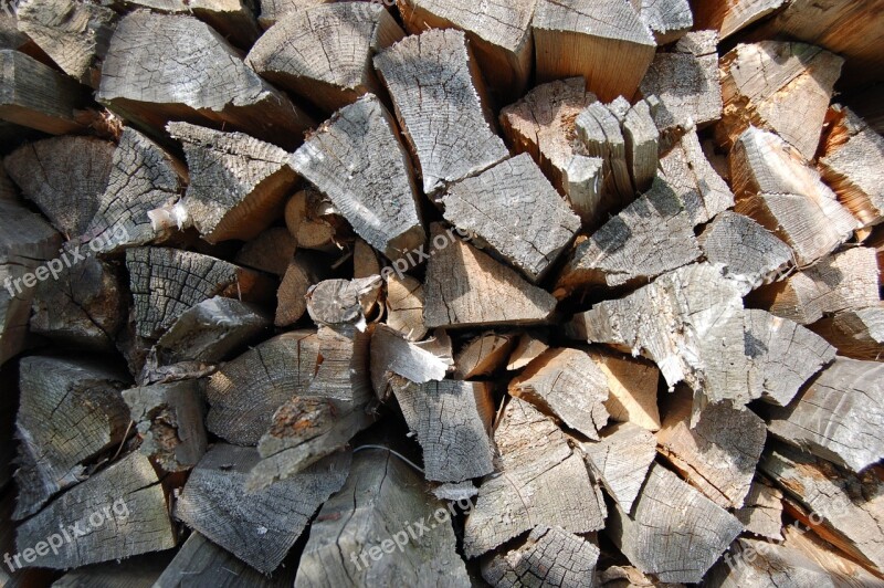 Firewood Pile Tree Billet Lap