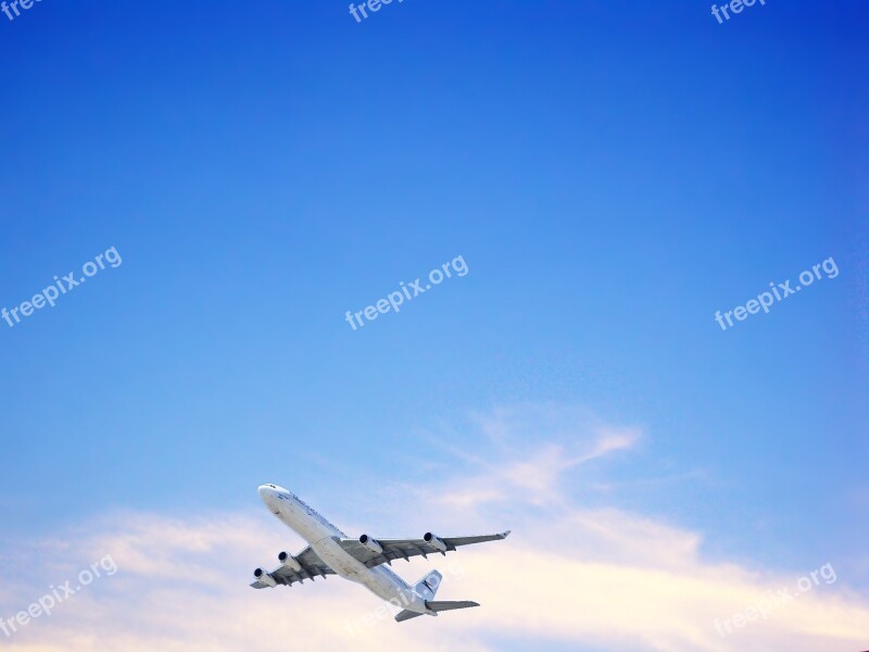 Sky Blue Sky Blue Clouds Nature