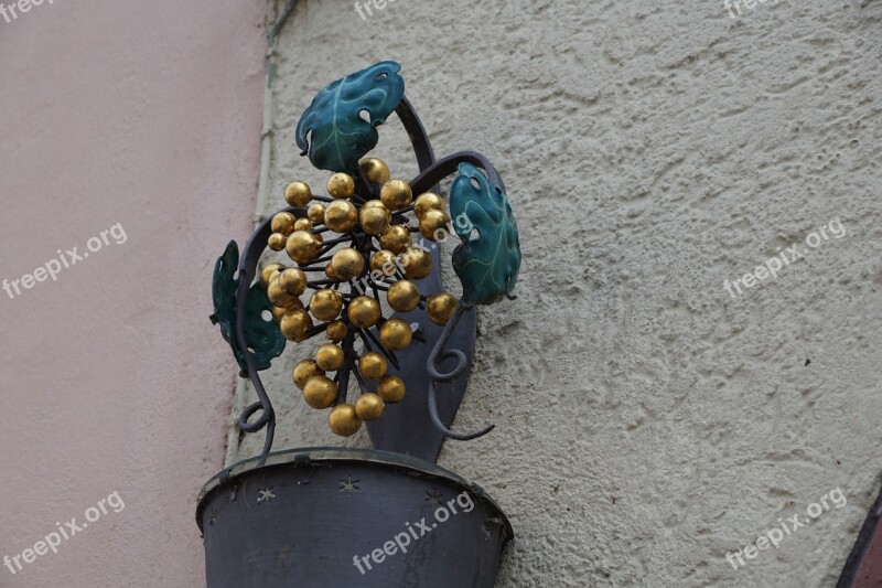 Rottweil Facade Forge Grapes Eat