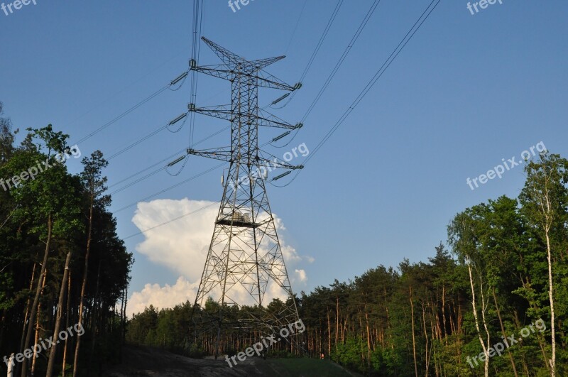 Energetics Current Forest Cloud Sky